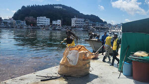 Heavy Rain Washes Debris Ashore Along South Coast; Tongyeong City and Coast Guard Rush to Clean Up