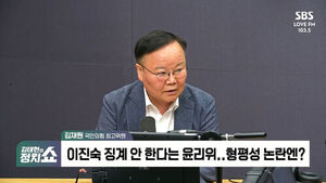 Kim Jaewon: "Ethics Committee Penalties Are Excessive and Problematic, but Not a Purge of Jang Opponents"