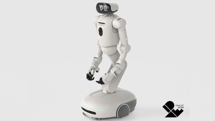 Home robot
