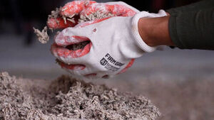 Even Absorbing Carbon? The Rapidly Growing Hempcrete Market