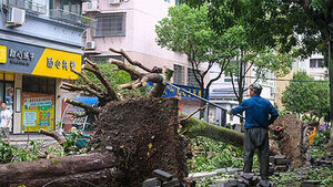 Typhoon Maysak Hit China's Guangxi Last Month, Leaving 159 Dead and 10 Missing