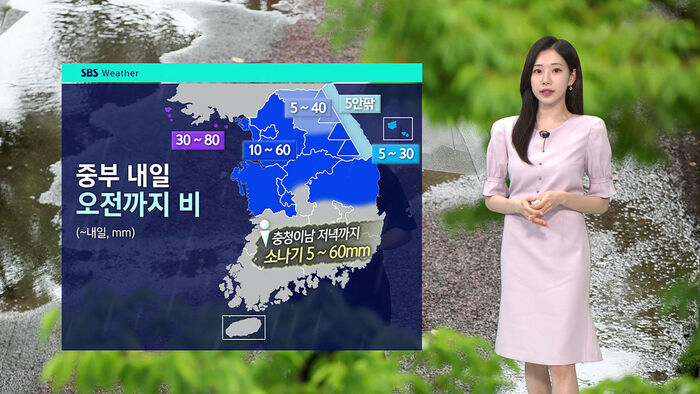 [날씨] 충북 제천 '시간당 70mm' &hellip;강수 쏟아져