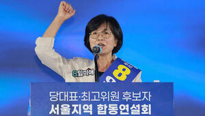 Democratic Party Appoints Lim Mi-ae to Lead Out-of-Office District Committee Support TF and Launches Livelihood Task Force