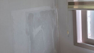 "Soaking Wet Every Time It Rains" Damp for 3 Years: A Retired Couple's Plea