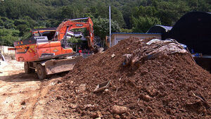 Volunteers Flock to Restore Flood-Hit Regions Amid Growing Disease Concerns