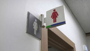 Public Enterprise Casino Employee Booked for Sneaking Smartphone Under Women's Restroom Partition
