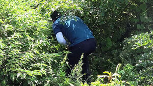 Police Place Four Commanders on Leave Over False Closure of Jeju Missing Person Case