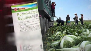 China Shaken by Cabbages Treated with Carcinogen&hellip; Were They Exported to Korea?