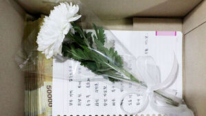 "I've Left a Box at the Door," Said a Phone Call... When They Opened It