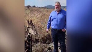 Only a Giraffe's Head Visible Above Ground... Politician Faces Backlash Over SNS Stunt
