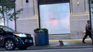 Police Investigate After 'Mole People' Emerge from Manhattan Manhole at Dawn
