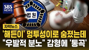 [자막뉴스] '해든이' 멍투성이로 숨졌는데&hellip;"우발적 분노" 감형에 '통곡'