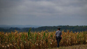 FT: US Grain Farmers Face Worst Crisis in Decades Due to Iran War
