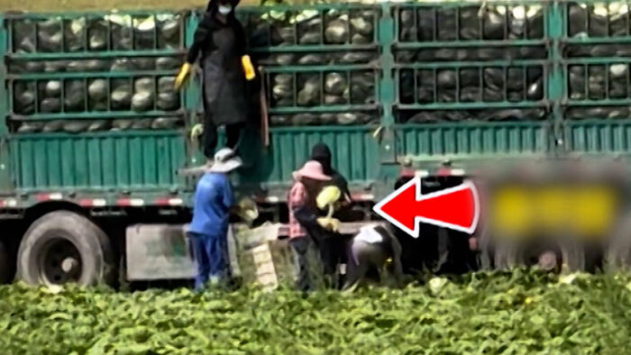 "절대 안 먹어" 국내 불안 확산&hellip;위험성 어떻길래