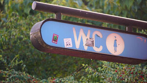 Woman Files Discrimination Lawsuit in Austria Over Public Restroom Fees