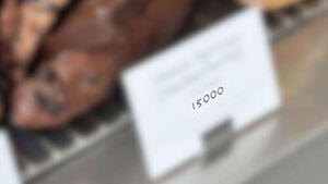 "I'd Rather Pitch In a Bit More and Eat Chicken"... Online Uproar Over Price of a Single Bread