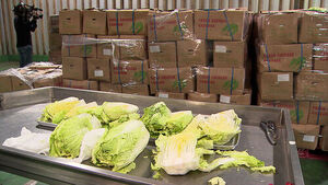 MFDS Tests Chinese Napa Cabbage for Formaldehyde... All Results Negative