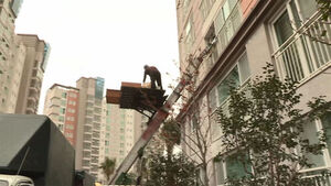 7월 국내 인구 이동, 4년 만에 최소&hellip;"주택 매매량 등 줄어"