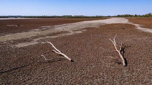 South Korea to Provide $500,000 in Humanitarian Aid to Drought-Hit Honduras