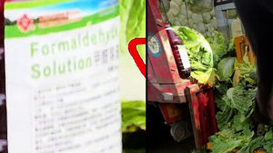 Probe Expanded to Imported Chinese Kimchi... How to Tell 'Naturally Occurring' Apart