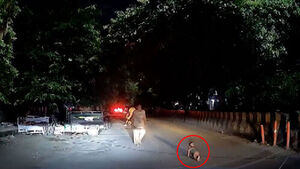 Midnight Shock on the Road: Why a Driver Was Terrified