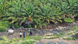 Jang Mi-ran's Father: 'Palm Tree Farm Was a Place My Daughter Feared and Avoided'