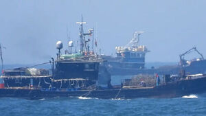 Chinese Fishing Boats Monopolize "Golden Fishery"&hellip; Government Drops the Hammer