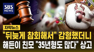 "뒤늦게 참회해서" 감형했더니&hellip;'해든이' 친모 "35년형도 많다" 상고