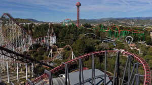 Roller Coaster of Death: Successive Brain Hemorrhage Accidents at Six Flags