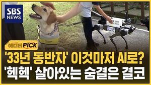 안내견 AI