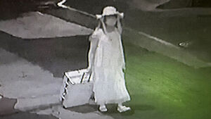 Where Is the Missing Chinese Student's Body? Police Focus on Nationwide Search