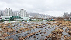 Ministry of Agriculture to Push for Temporary Establishment of 'Farmland Investigation Division' for Farmland Act Violation Probes