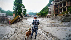 Another 50,000 Tons Poured Down&hellip; Four Days Later 'Critical Turning Point'