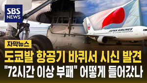Body Found in Wheel Well of Flight from Tokyo: "Decayed for Over 72 Hours," How Did He Get In?