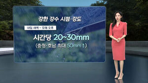 8뉴스 날씨 (임은진)