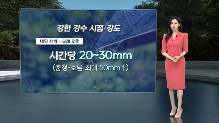 8뉴스 날씨 (임은진)
