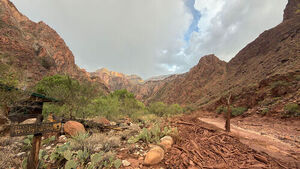 Flash Flood Hits Grand Canyon After Heavy Rain, Leaving About 15 Missing