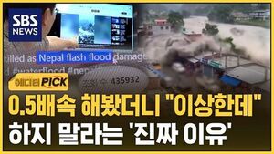 대홍수 AI