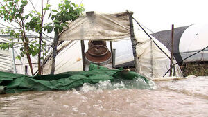 People Stranded and Flooded by Raging Waters... Up to 60mm of Rain Expected in Chungcheong Today
