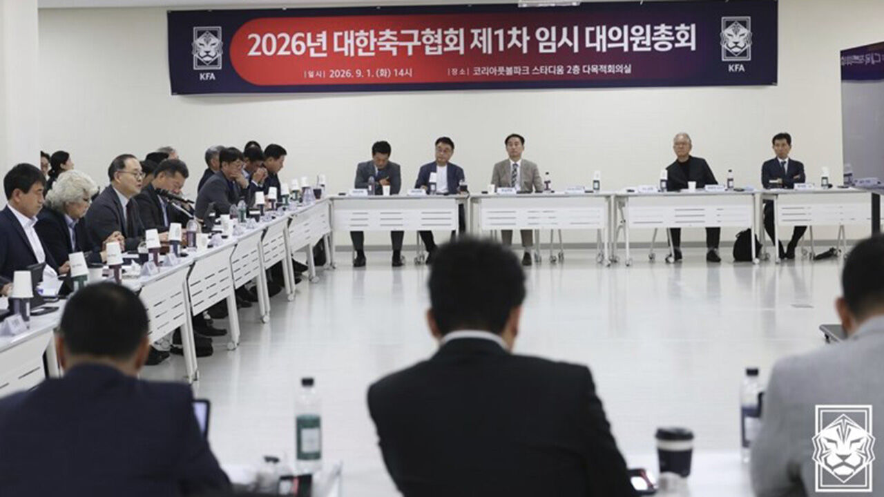 축구협회장 궐위 시 후임 선출 기한 6개월까지 연장