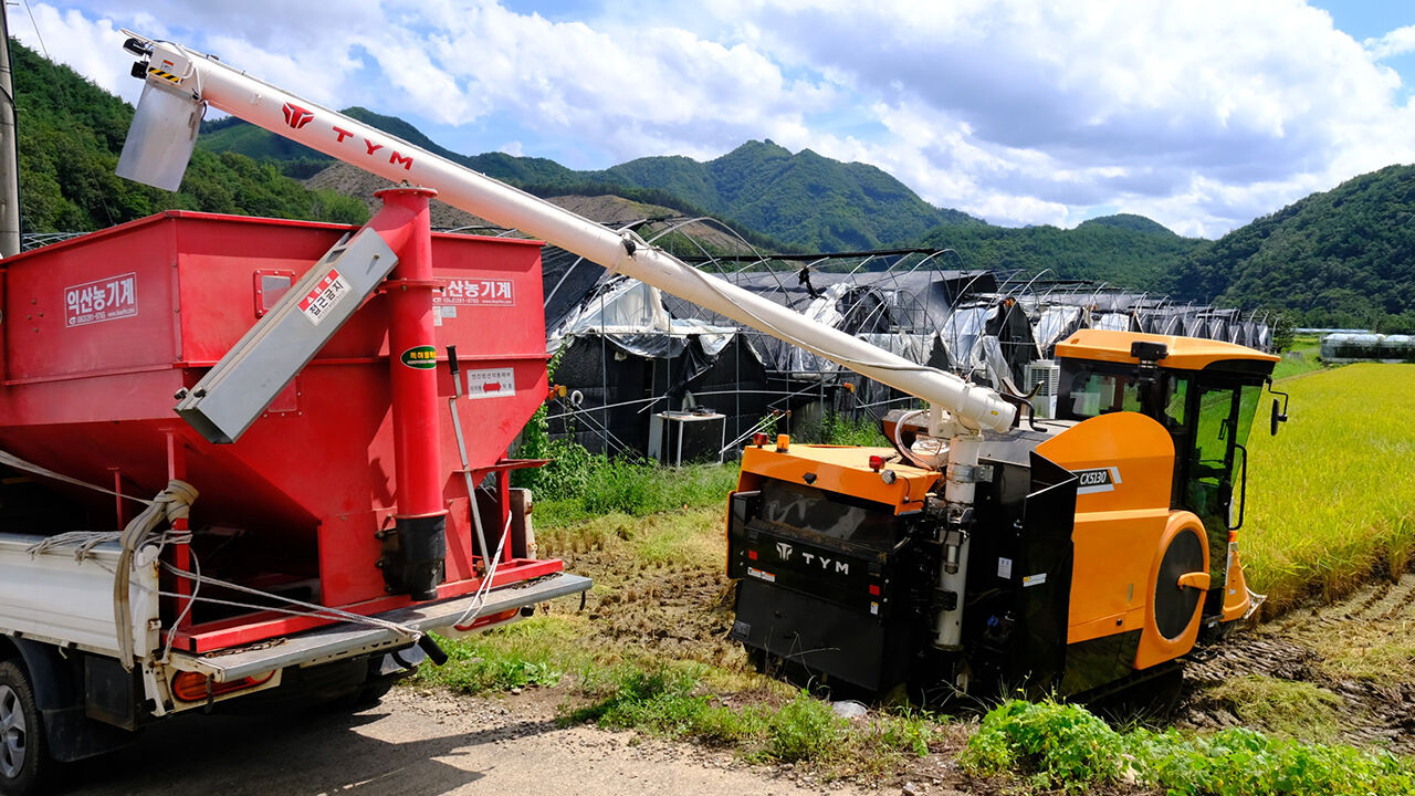 A combine harvester harvesting rice (Photo: Yeongdong County, Yonhap News)