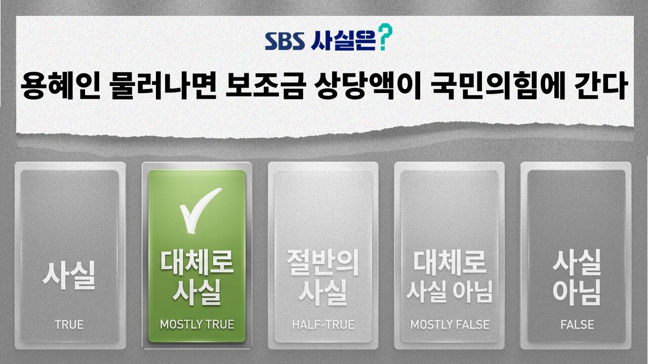 팩트체크 사실은 용혜인 정당 보조금
