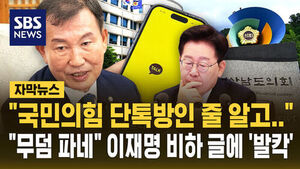 "Thought It Was PPP Group Chat": Controversy Erupts Over Lawmaker's Derogatory Remarks About President Lee Jae-myung