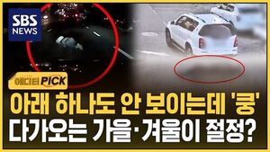 스텔스 보행자