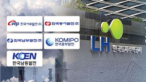 Major Overhaul to Cut 109 Public Institutions: Power Generation Firms to Merge, LH to Split