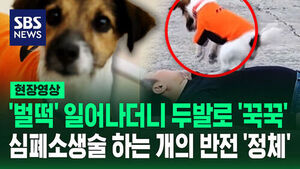 Dog's Surprising 'CPR' Skills Revealed: The Twist Behind the Viral Video