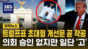 Construction of Trump's Massive Triumphal Arch to Begin Soon Despite Lacking Congressional Approval