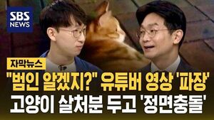 YouTuber's "Cull Stray Cats" Video Sparks Fierce Debate