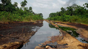 At Least 43 Dead After Inhaling Toxic Fumes While Trying to Steal Oil in Nigeria