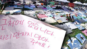 Seoul Fireworks Festival Sparks Controversy Over 'Prime Spot' Resale for Hundreds of Thousands of Won